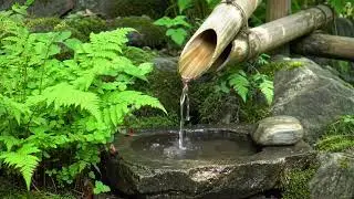 Shower Water Ambience & Soft Music &mdash; Drift Into Deep Relaxation