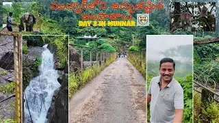 మున్నార్‌లోని అద్బుతమైన జలపాతాలు || day 2 in Munnar || karuna sagar vlogs #munnartrip #కేరళట్రిప్