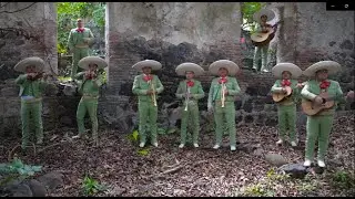 SOY MÉXICO - Mariachi Real Apatzingán