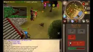Runescape 2007 Rsbots.net client