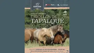 REMATE CRIOLLOS DE TAPALQUÉ 2025