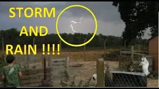 RAIN AT LAST !! 2018  heatwave. No rain for 9 weeks !!