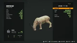 I STARTED A BLACK BEAR GRIND GOT ATTACKED BY A MOUNTAIN LION AND GOT MY FIRST DIAMOND MOUNTAIN GOAT