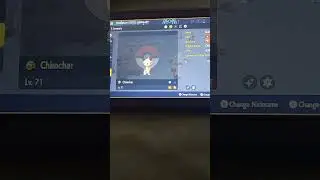 Shiny Chimchar in Pokemon Scarlet via the picnic reset method! (indigo disk)