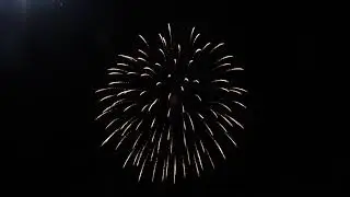 22036 6