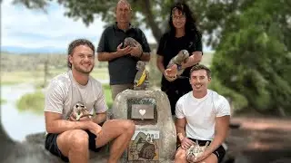 Building Cindy The Baboon&rsquo;s Memorial
