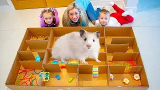 Gaby and her Hamster Rosie escape from the Cardboard Maze