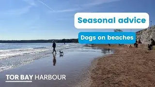 Seasonal advice - Dogs on beaches