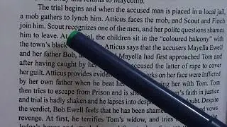 'To Kill a Mockingbird' by Harper Lee, summary, introduction of characters and important questions