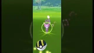 SHINY Glameow 😻 ✨✨ Pok&eacute;mon Go