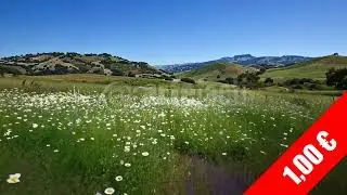 Daisy Meadow & Blue Sky &ndash; Uplifting Nature HD Stock Footage (1920x1080)