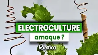 Electroculture : une arnaque ?