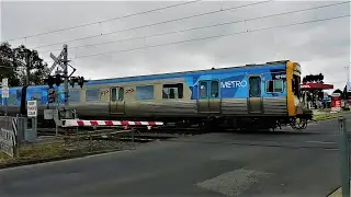 Comeng Trains at the Box Forest Road Level Crossing