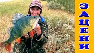 Рыбалка на севере Стофети и компания НАЧАЛО РЫБОЛОВНОЙ ЭПОХИ Fishing in the north of Russia