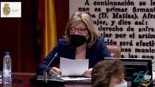 AICE comparece en el Senado ante la Comisi&oacute;n para las Pol&iacute;ticas Integrales de la Discapacidad