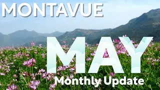 May Update - Wireless Bridges, AI NVRs, 64 Channel NVRs, Black Cameras, & Memorial Day Sale