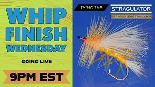 How To Fly Tying:  Stragulator--Live on Whip Finish Wednesday