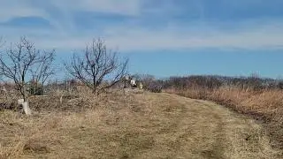 Welcome to UW Lakeshore Nature Preserve Nature Trails