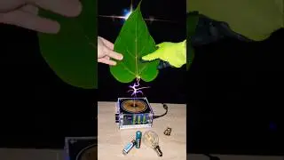 Lesson 6: leaf power 💪#experiment #plant #teslacoil #battery