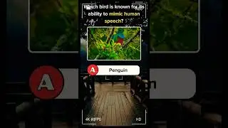 #dailyquiz#dailyquizanswers #quiz #animalquiz
