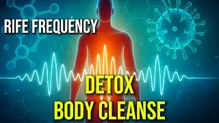 Detox Body Cleanse ✧ Sound Healing ✧ Rife Frequency ✧ Music Therapy