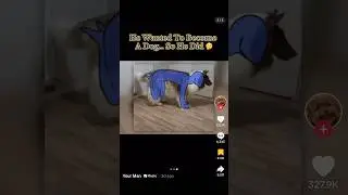 He Wanted To Become A Dog&hellip; So He Did 🤔 #interesting