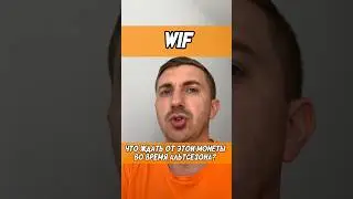 Сколько иксов может дать монета WIF во время будущего альтсезона? #альткоины #альтсезон #крипта
