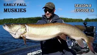 Chasing Giants: Early-Fall Muskie Fishing and Tactics to Beat a Cold Front! S8.E16