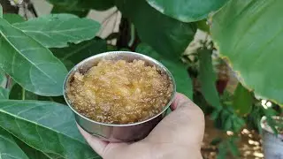 🍯 2 Apples से बनाए घर का शुद्ध Apple 🍎 Jam🍎 | बिना Preservative | Simple & Tasty 😋 Recipe