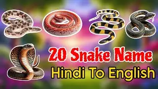 20 साँपों के नाम | 20 Snake Names in English for Kids | Educational Animal Learning Video