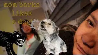 Vlogmas 13|Mom BARKS like a dogG|K&R and the Family
