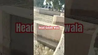Head Qasim Wala Khan pur Canal Division #irrigationsystem #canalsystem #canalcontrol