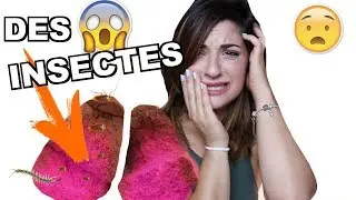 JE COUPE 3 BEAUTY BLENDERS ET JE RETROUVE ...😥 WTF