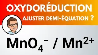 Demi-équation oxydoréduction : MnO4- / Mn2+