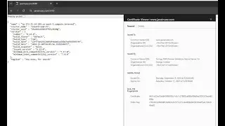 Configuring Elasticsearch SSL/HTTPS with CA issued Digital Certificate