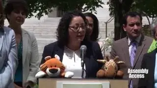 Assemblymember Garcia Proud State Budget Includes Funding for Women&rsquo;s Caucus Priorities