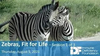 Zebras, Fit for Life: Part 1: An IDF Forum, August 5, 2021