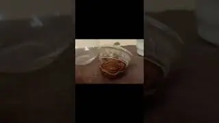 не спрашивайте какой чай я пил когда создавал это видео #рекомендации #китайскийчай #красныйчай