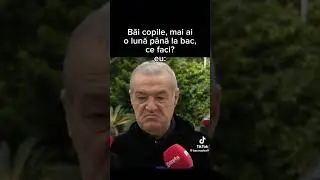 Atunci cand mai ai o luna pana la BAC | Gigi Becali #fcsb #becali #steaua
