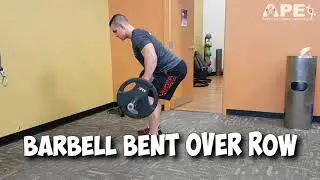 How To Barbell Bent Over Row - theAPEcoach - Tyler Johnston