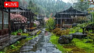 Enjoy The Rain Atmosphere of Beautiful Japanese Zen Garden 🌧️ Rain Sound for sleeping, study