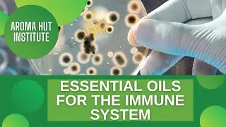 Are Essential Oils the Key to a Stronger Immune System?