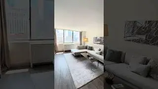 River North Chicago Apartments│River North Park │1 Bedroom│#2207
