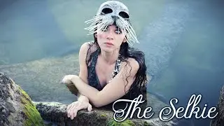 Swimming with a Selkie in Lake Michigan (a calming video of a seal mermaid)