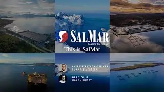 The salmon market and Salmar: Solid fundamentals at very interesting prices