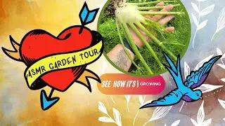 ASMR Summer Garden Tour July | Raised Bed Gardening