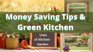 $ How to Save Money | Money Savings Tips & Green Kitchen | Colorful Vibes