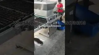 Automatic seedling raising machine, beetroot carrot celery plug planter#seedplanter #seeder #machine