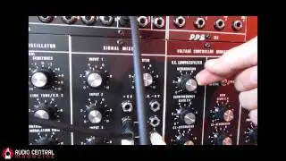 PPG Vintage Modular