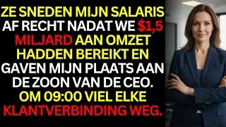 Ze Gaven Mijn Zitplaats aan de Zoon van de CEO—Om 09:00 Laat Ik het Gehele Klantennetwerk Crashten